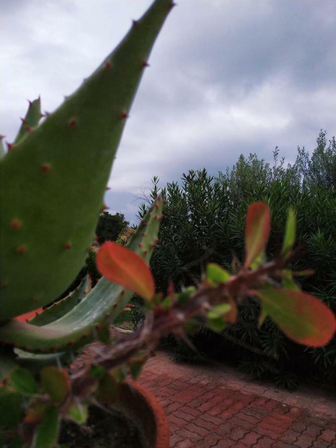 Casa Vacanza Rosariomaria Realmonte Εξωτερικό φωτογραφία
