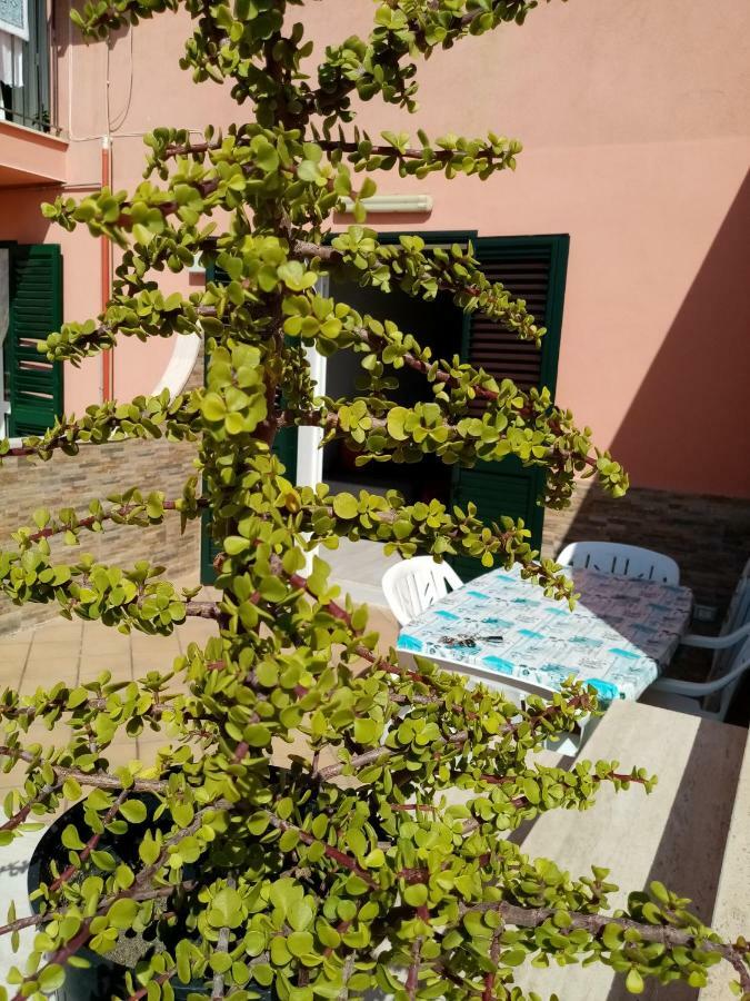 Casa Vacanza Rosariomaria Realmonte Εξωτερικό φωτογραφία